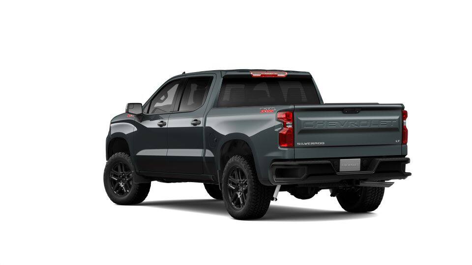 2025 Chevrolet Silverado 1500 Vehicle Photo in POOLER, GA 31322-3252