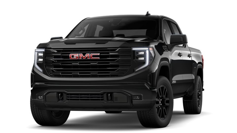 2023 GMC Sierra 1500 Vehicle Photo in LEESBURG, FL 34788-4022