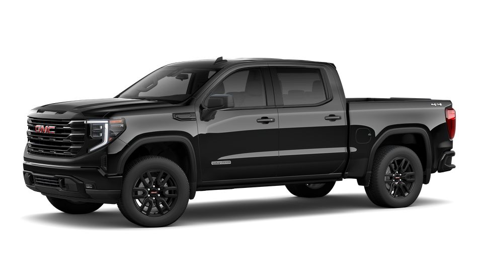 2023 GMC Sierra 1500 Vehicle Photo in LEESBURG, FL 34788-4022