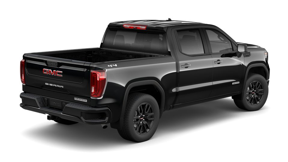 2023 GMC Sierra 1500 Vehicle Photo in LEESBURG, FL 34788-4022