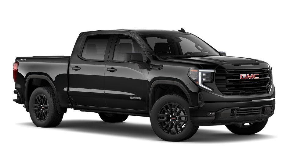 2023 GMC Sierra 1500 Vehicle Photo in LEESBURG, FL 34788-4022