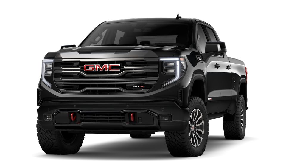 2023 GMC Sierra 1500 Vehicle Photo in Statesboro, GA 30458