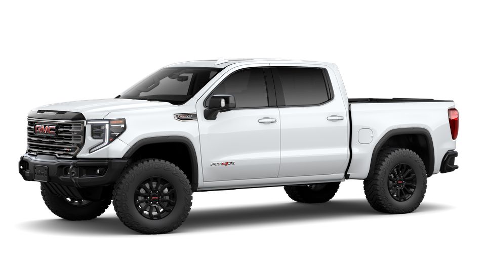 2023 GMC Sierra 1500 Vehicle Photo in Decatur, TX 76234