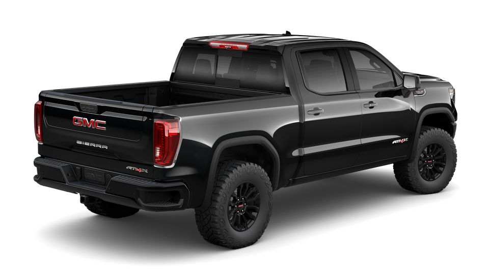 2023 GMC Sierra 1500 Vehicle Photo in Denton, TX 76205