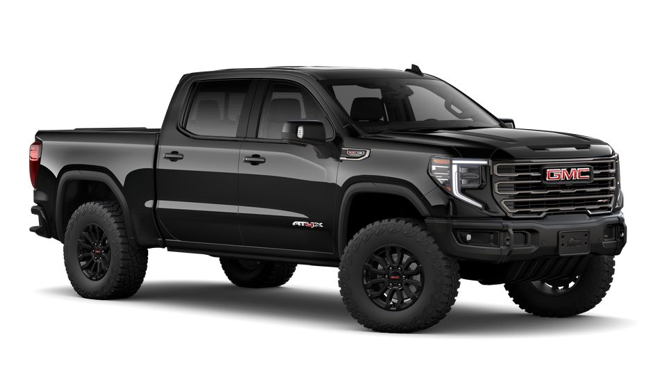 2023 GMC Sierra 1500 Vehicle Photo in Denton, TX 76205
