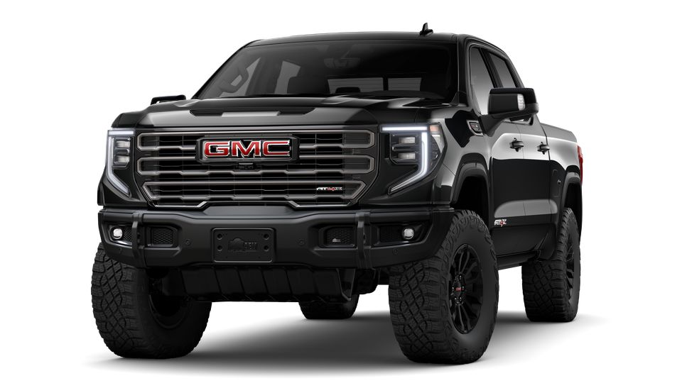 2023 GMC Sierra 1500 Vehicle Photo in Denton, TX 76205