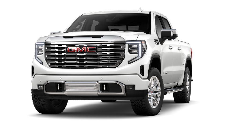 2024 GMC Sierra 1500 Vehicle Photo in SELMA, TX 78154-1459