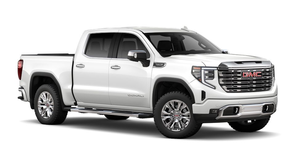 2024 GMC Sierra 1500 Vehicle Photo in SELMA, TX 78154-1459