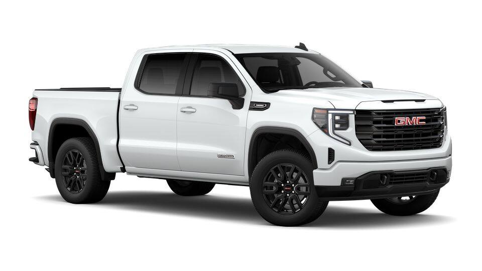 2026 GMC Sierra 1500 Vehicle Photo in Houma, LA 70360