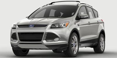2015 Ford Escape Vehicle Photo in Harrisburg, PA 17111