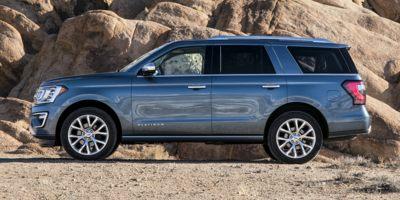 2019 Ford Expedition Vehicle Photo in Muncy, PA 17756