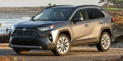 2019 Toyota RAV4 Vehicle Photo in Akron, OH 44312