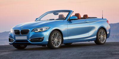 2020 BMW 230i xDrive Vehicle Photo in Flemington, NJ 08822