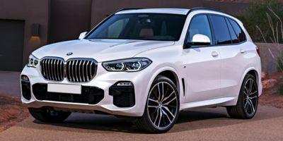 2022 BMW X5 sDrive40i Vehicle Photo in Bluffton, SC 29910