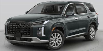2024 Hyundai PALISADE Vehicle Photo in Bluffton, SC 29910