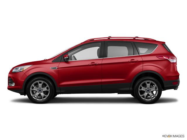 2015 Ford Escape Vehicle Photo in Kansas City, MO 64114