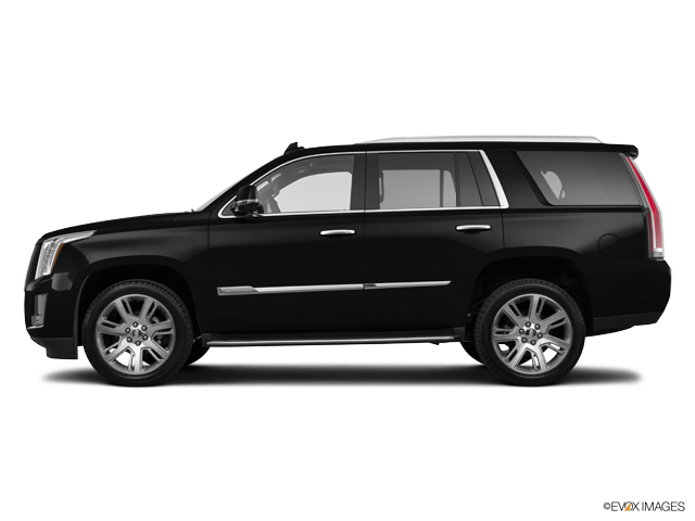 2016 Cadillac Escalade Vehicle Photo in INDEPENDENCE, MO 64055-1314