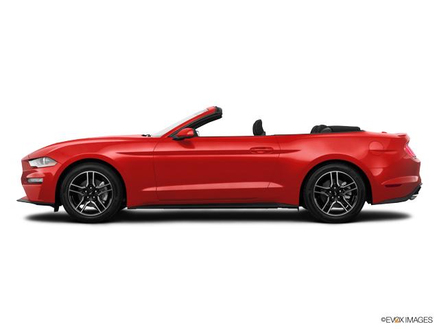 2018 Ford Mustang Vehicle Photo in Brunswick, GA 31525