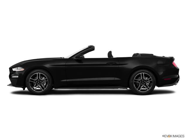 2019 Ford Mustang Vehicle Photo in BRUNSWICK, GA 31525-1881