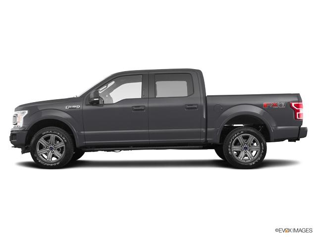 2019 Ford F-150 Vehicle Photo in Statesboro, GA 30458