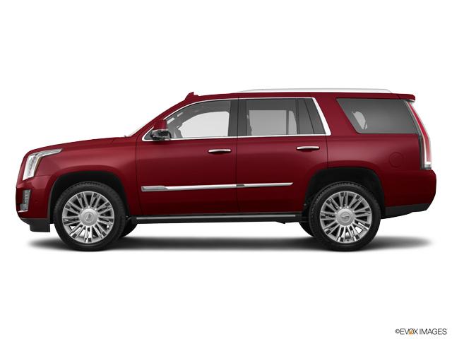 2019 Cadillac Escalade Vehicle Photo in TOPEKA, KS 66609-0000