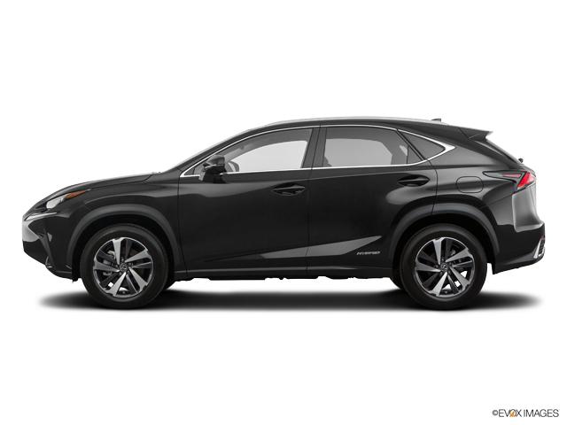 2020 Lexus NX 300h Vehicle Photo in Lees Summit, MO 64086