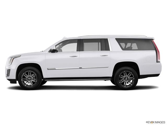 2020 Cadillac Escalade ESV Vehicle Photo in KANSAS CITY, MO 64114-4545