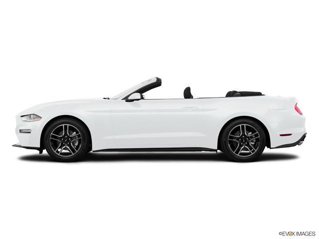 2020 Ford Mustang Vehicle Photo in Savannah, GA 31419