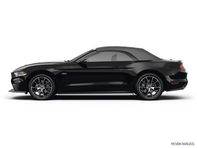 2021 Ford Mustang Vehicle Photo in Statesboro, GA 30458