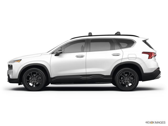 2022 Hyundai SANTA FE Vehicle Photo in Bluffton, SC 29910