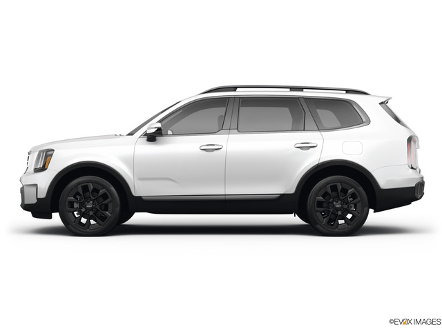2023 Kia Telluride Vehicle Photo in KANSAS CITY, MO 64114-4502