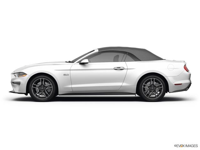 2022 Ford Mustang Vehicle Photo in BEAUFORT, SC 29906-4218