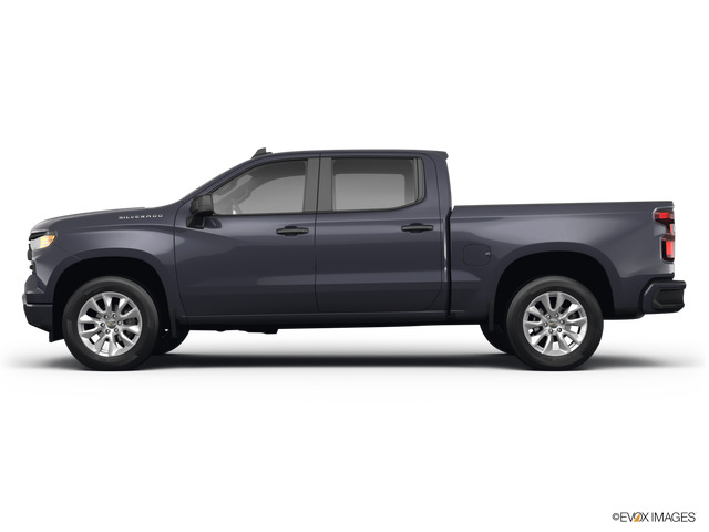 2022 Chevrolet Silverado 1500 Vehicle Photo in POOLER, GA 31322-3252