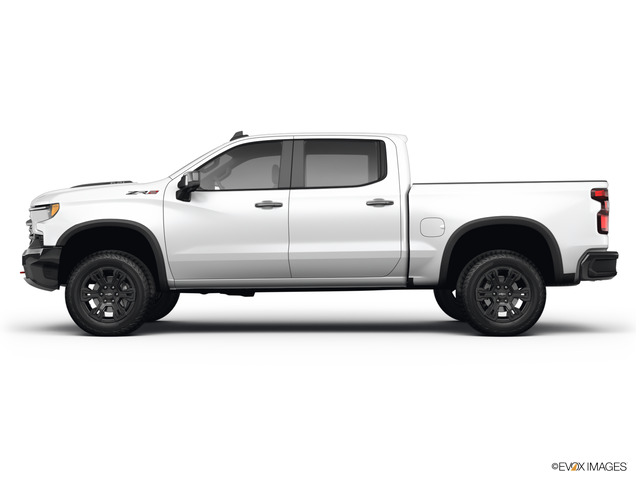 2022 Chevrolet Silverado 1500 Vehicle Photo in INDEPENDENCE, MO 64055-1314