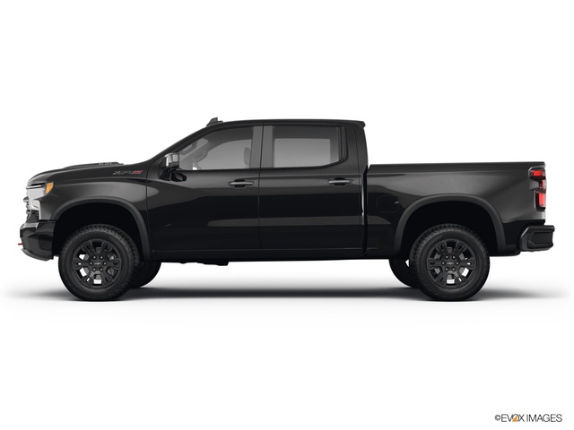 2022 Chevrolet Silverado 1500 Vehicle Photo in INDEPENDENCE, MO 64055-1314