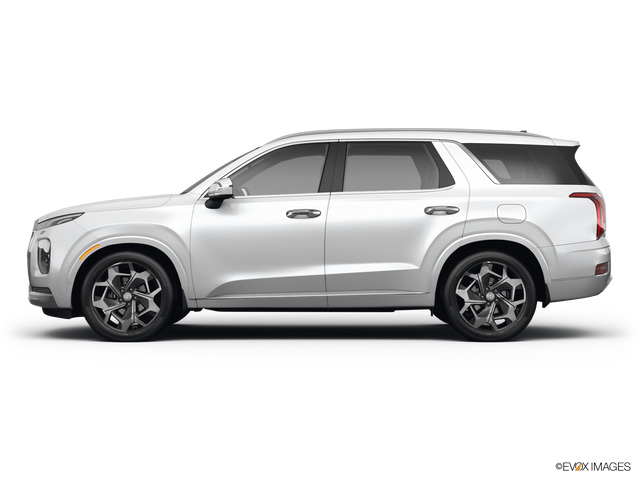 2022 Hyundai PALISADE Vehicle Photo in Statesboro, GA 30458