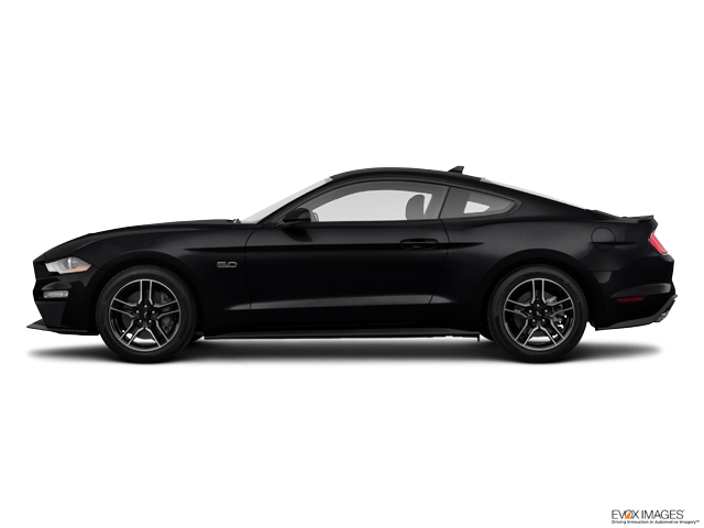 2023 Ford Mustang Vehicle Photo in INDEPENDENCE, MO 64055-1314