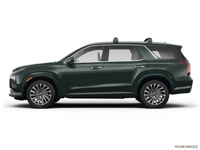 2024 Hyundai PALISADE Vehicle Photo in BEAUFORT, SC 29906-4218