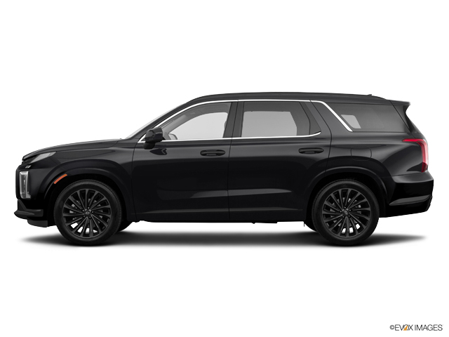2024 Hyundai PALISADE Vehicle Photo in Lees Summit, MO 64086