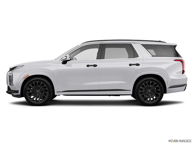2024 Hyundai PALISADE Vehicle Photo in Bluffton, SC 29910