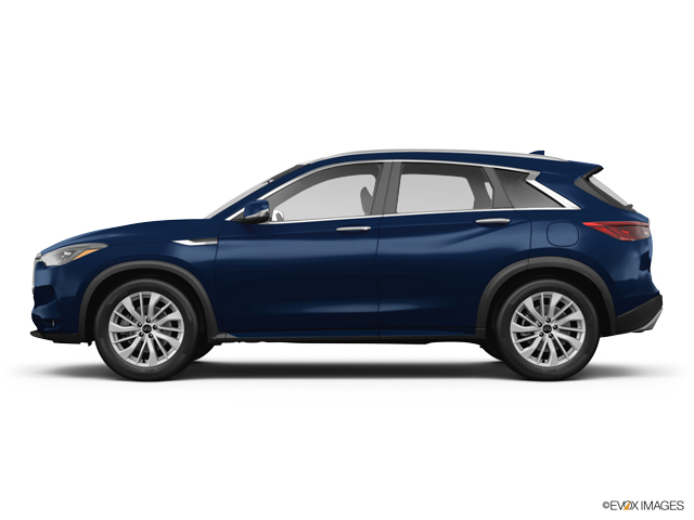 2024 INFINITI QX50 Vehicle Photo in Bluffton, SC 29910