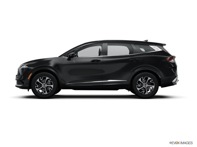 2024 Kia Sportage Vehicle Photo in Lees Summit, MO 64086
