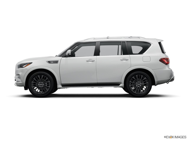 2024 INFINITI QX80 Vehicle Photo in Willow Grove, PA 19090