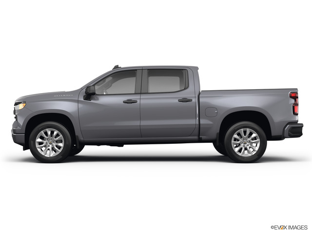 2024 Chevrolet Silverado 1500 Vehicle Photo in BRUNSWICK, GA 31525-1881