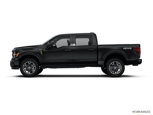 2024 Ford F-150 Vehicle Photo in BEAUFORT, SC 29906-4218