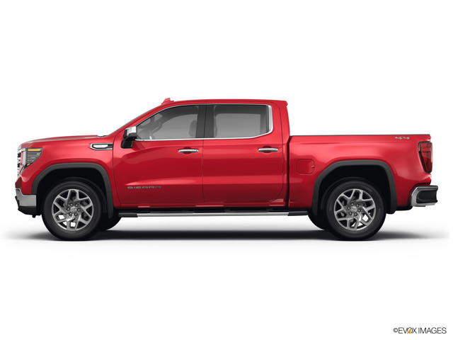 2025 GMC Sierra 1500 Vehicle Photo in Statesboro, GA 30458