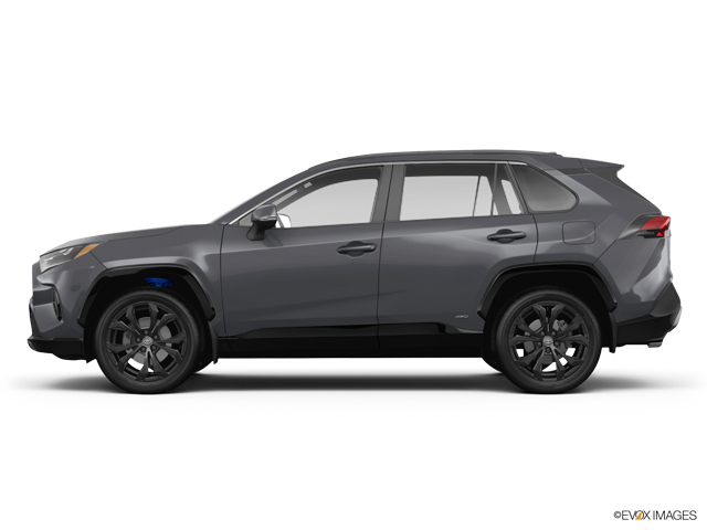 2025 Toyota RAV4 Vehicle Photo in Statesboro, GA 30458