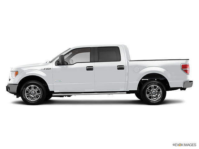 2013 Ford F-150 Vehicle Photo in Hinesville, GA 31313
