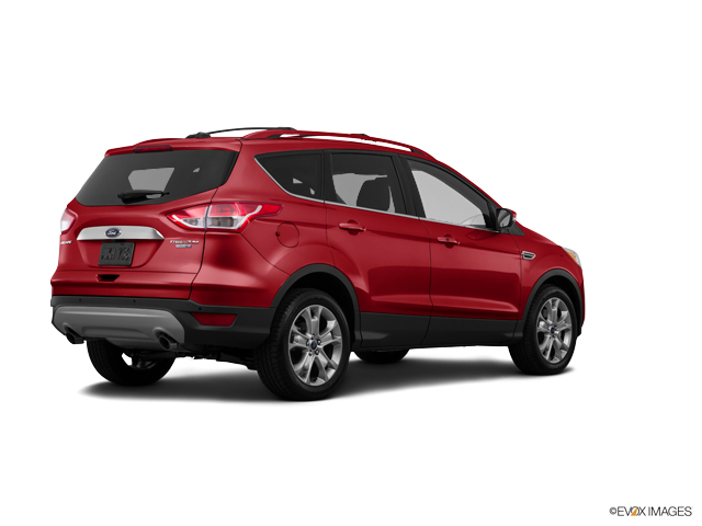 2015 Ford Escape Vehicle Photo in Kansas City, MO 64114