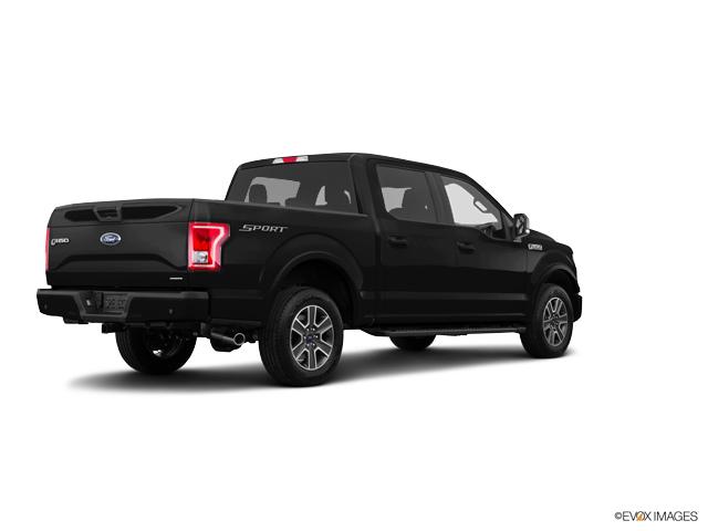 2017 Ford F-150 Vehicle Photo in INDEPENDENCE, MO 64055-1377